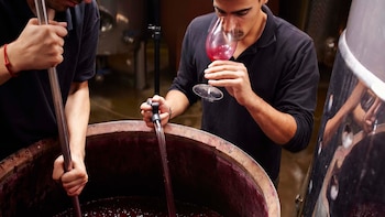 La pérdida del olfato impide