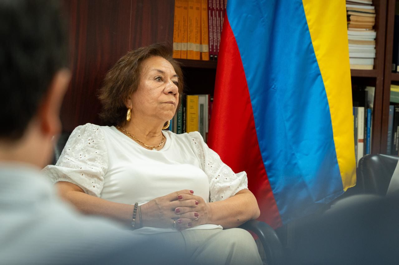 También cuestiona el procedimiento de expedición y la motivación del acto administrativo - crédito @CancilleriaCol/X