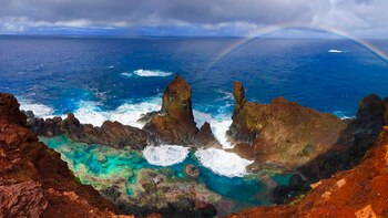 Entre la selva, el mar
