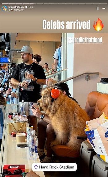 Un Goldendoodle con protectores auditivos naranjas junto a un hombre que usa un teléfono en un palco. Sobre la mesa hay botellas, vasos y un bolso