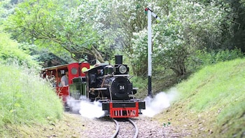 El primer tren de vapor