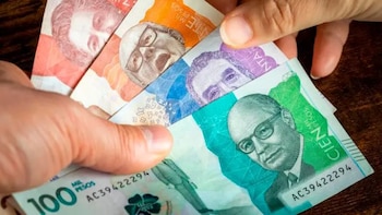 Autoridades han incautado más de