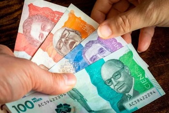 La ingeniera plantea alternativas innovadoras