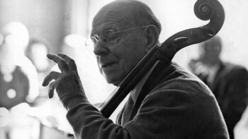 Un programa informático identificó el