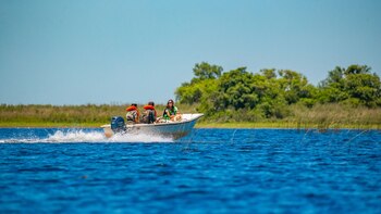 Los Esteros del Ibería, en