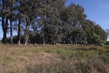 Campo abierto con pasto seco y verde en primer plano, con una línea de árboles altos al fondo y un cielo azul claro arriba. Se observa cinta de precaución