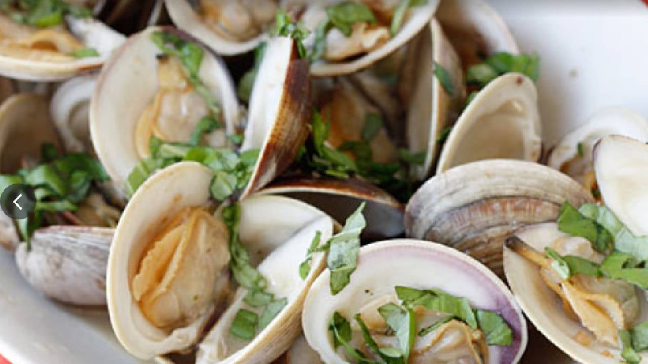 Las autoridades sanitarias de Florida clausuraron 13 restaurantes por graves problemas de higiene y plagas en Miami-Dade, Broward y Palm Beach (Brass Monkey Sports Bar & Grill)