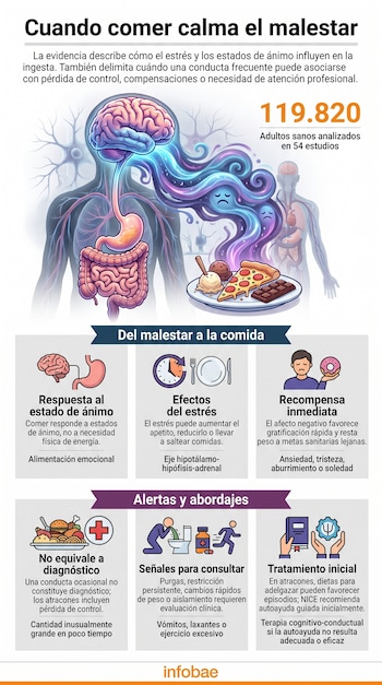 Infografía con una ilustración del cerebro y aparato digestivo conectados a alimentos, datos estadísticos y seis recuadros explicativos.