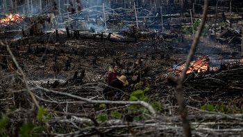 Tres de cada cuatro hectáreas