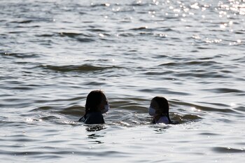 No hay evidencia de que