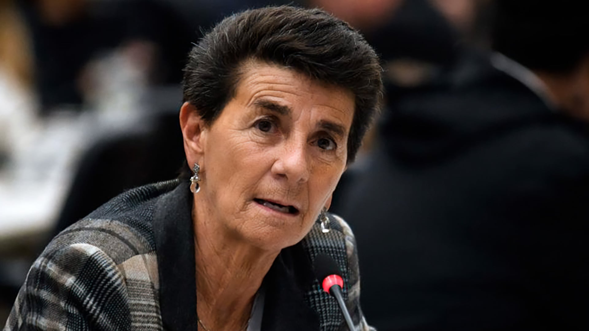 La diputada Patricia Vasquez (Pro), presentó nuevamente su propio proyecto de ley de transformación del sistema mientras trabaja con el Ministerio de Justicia para contribuir a cambiar más rápidamente el sistema.