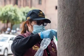 Especialistas, autoridades y voluntarios iniciaron