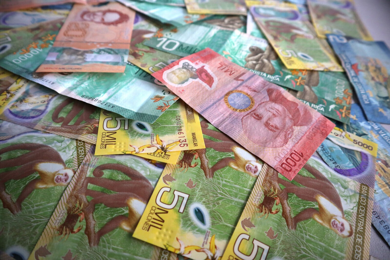 Expertos advierten que el contrabando mueve cerca de un billón de colones al año en Costa Rica. Universidad de Costa Rica