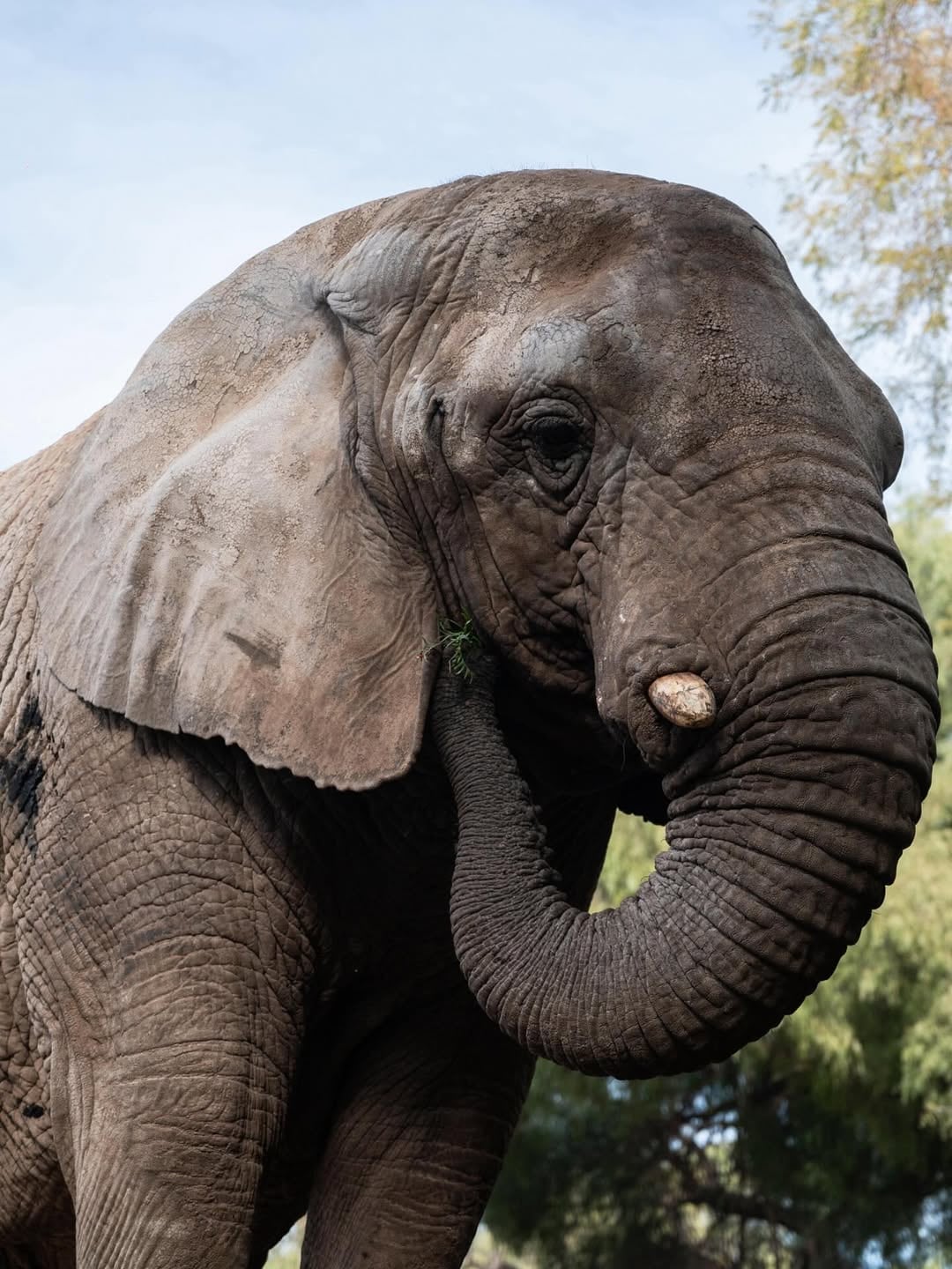 Padecía problemas pulmonares