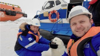Marineros rescataron a una perrita