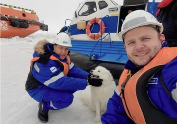Marineros rusos rescatan a perrita