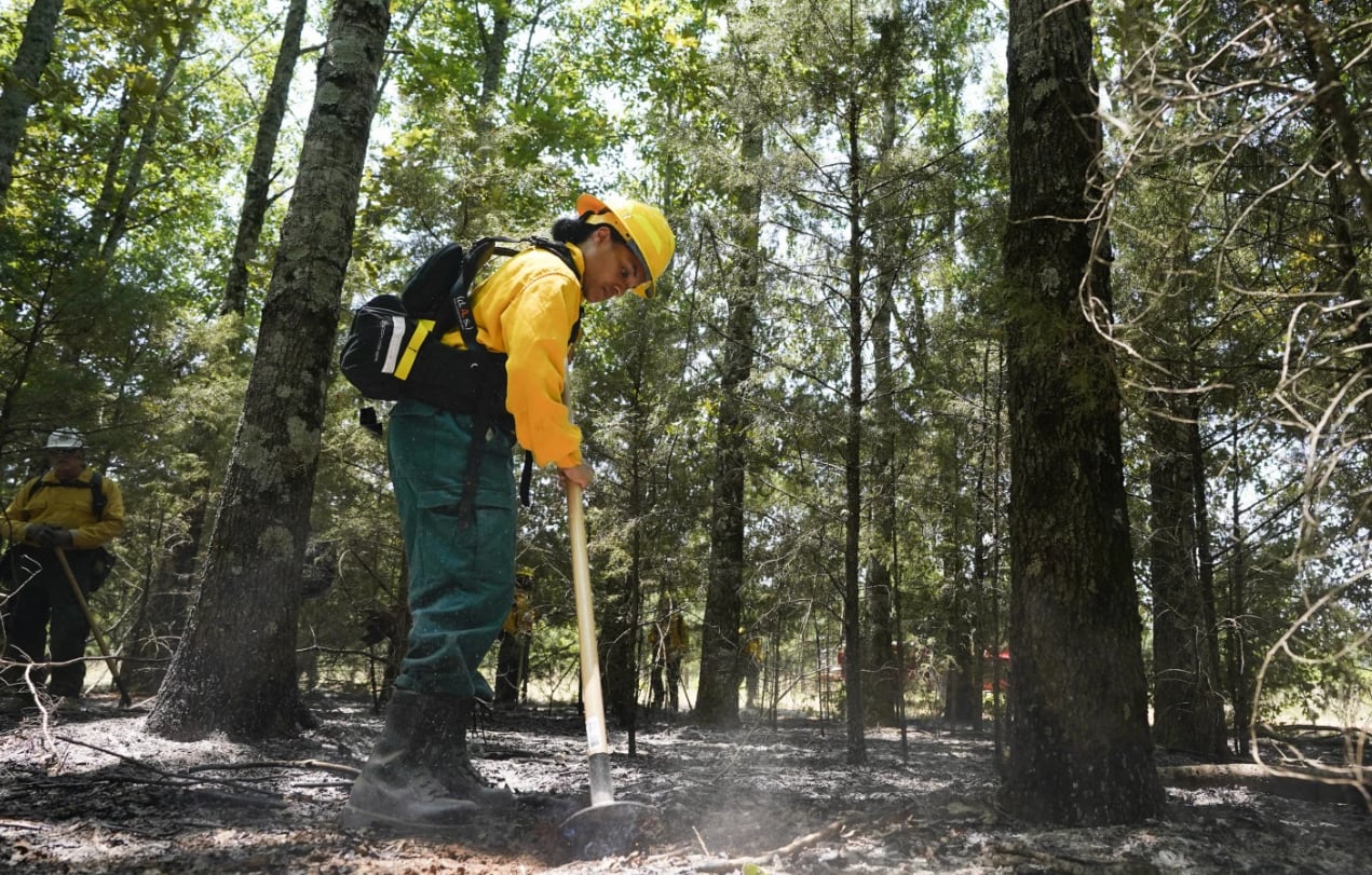 Expertos y organizaciones ambientales advierten sobre la necesidad de equilibrar la prevención con la protección de los ecosistemas y las comunidades (AP Photo/George Walker IV)