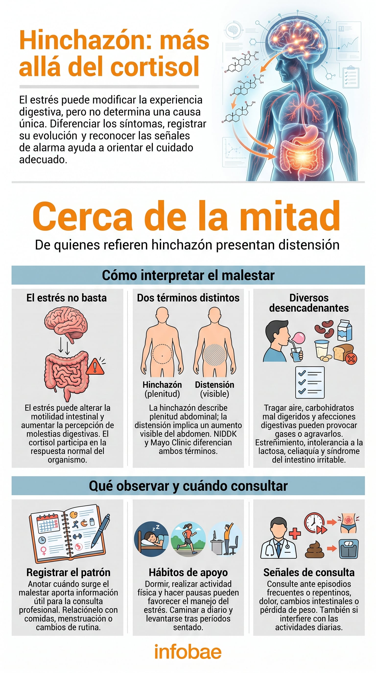 El cortisol participa en la respuesta normal del organismo ante situaciones de tensión. (Imagen Ilustrativa Infobae)