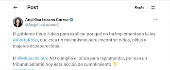 Angelica Lozano dijo que presentó