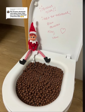 El Elfo en el Estante