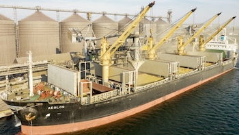 Avanza el diseño de un