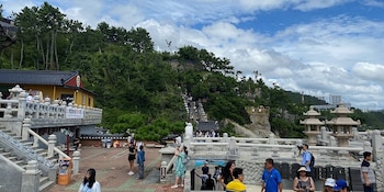 Cada 1 de enero, Haedong