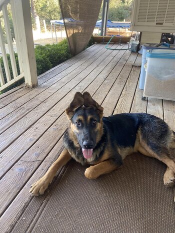 Luna pasó la noche entera