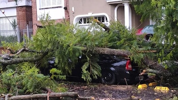 Fuerte temporal en Entre Ríos