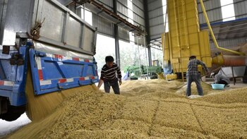 China es el comprador excluyente