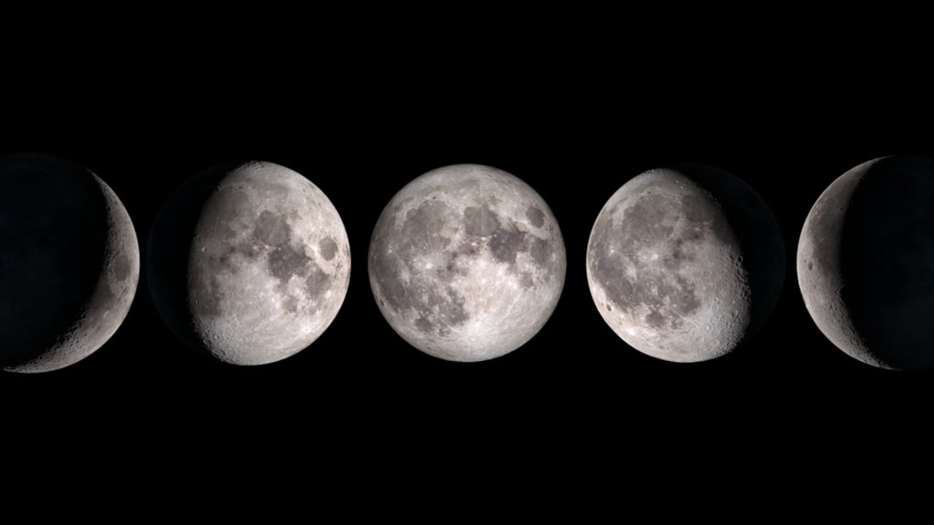 El ciclo lunar, de 29,5 días, inicia con la luna nueva, seguida del cuarto creciente, la luna llena y el cuarto menguante. Después, el ciclo se reinicia.
