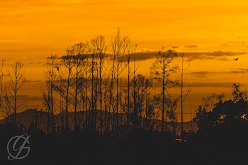 El cielo amarillo aparece por