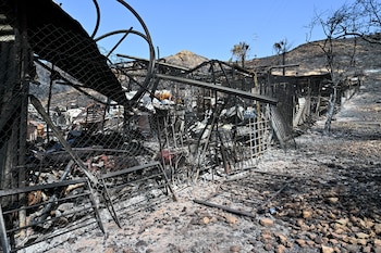 Vista del área calcinada en el municipio almeriense de Bédar. (Carlos Barba/EFE)