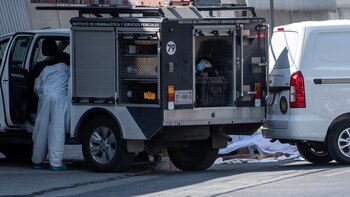 ONG documenta un aumento de