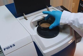 Un equipo de expertos evalúa