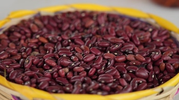 La demanda anual de frijol en Honduras ronda los tres millones de quintales y refuerza la prioridad de aumentar la producción con semilla certificada.