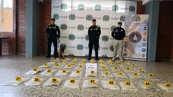 Perro antinarcóticos detectó 25 kilos