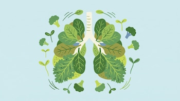 Verduras de hoja verde: así protegen los pulmones frente a enfermedades crónicas