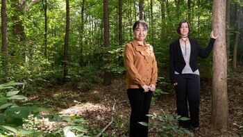 25/08/2020 Investigadoras al frente del