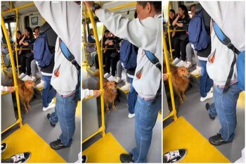 En el video se puede ver como los demás pasajeros de TransMilenio sonríen y se sorprenden por el espectáculo urbano de Lucas, el perrito matemático - crédito @kevinnkeloke -TikTok