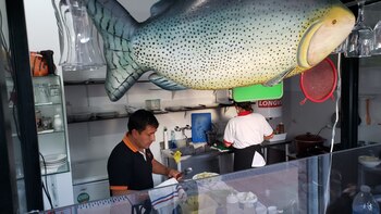 La especialidad de Elvis es