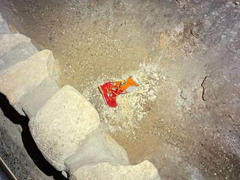 Una bolsa de snacks alteró