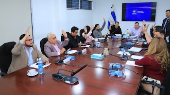 Comisión de Hacienda emite dictamen favorable para ampliar garantía estatal a créditos de vivienda en El Salvador (Foto cortesía diputada D. A. González)