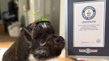 Viral en redes y récord