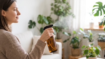 El mejor repelente natural para mosquitos: cómo prepararlo y dónde usarlo en casa