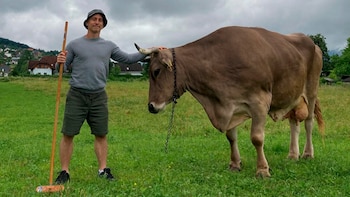 El hallazgo cuestiona los límites