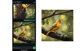 Los usuarios cuentan con la