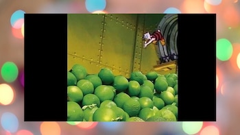 Usuarios de redes sociales crearon