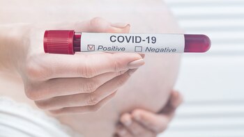 Los investigadores no hallaron viremia