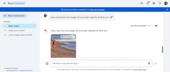 Es importante que el usuario