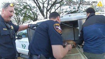 El Canine Country Club recibió